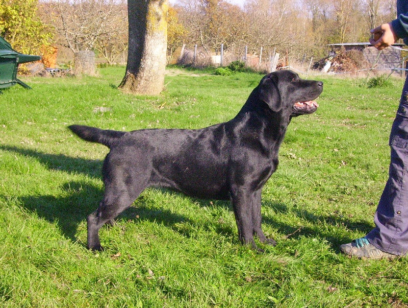 Djinn tonic of Black And Sand