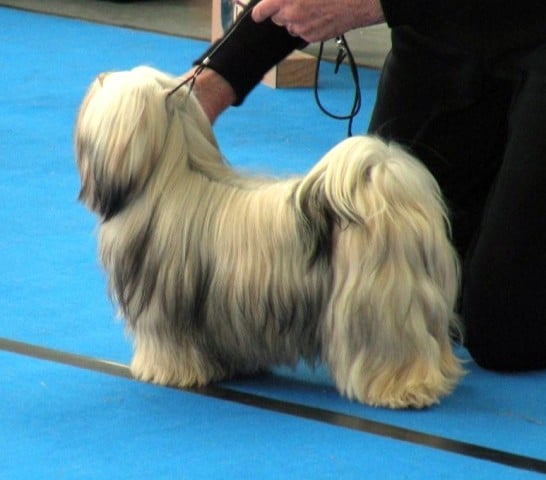 Publication : de la tour des vigiles 