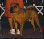 ding-ho Red man chew panache