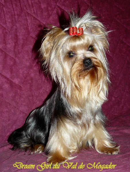 Publication : du Val de Mogador