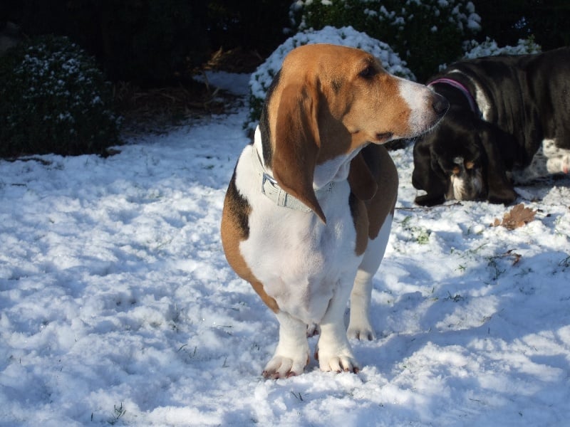 Publication : de l'Héritage De Toundra