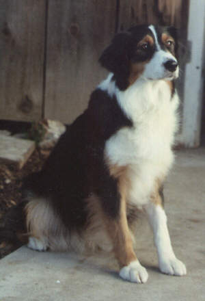 Agua dulce Sunday silence