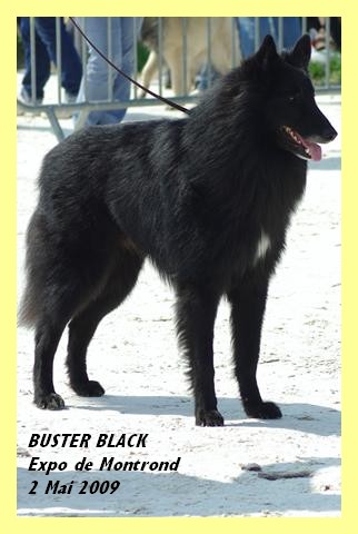 Buster-black De d'artamas