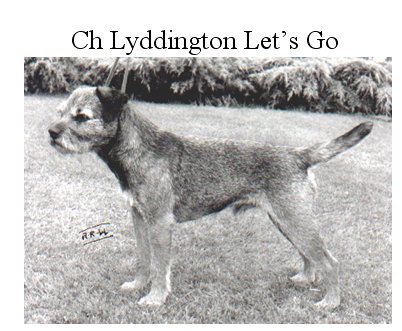 CH. lyddington Let's go