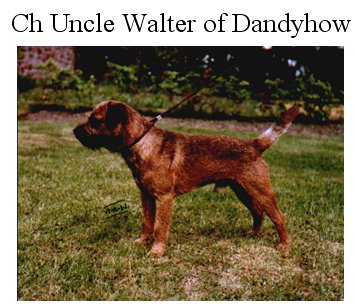 CH. Uncle walter of dandyhow