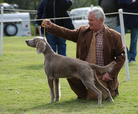 Publication : Von der Vilsaue Auteur : Greg Russell