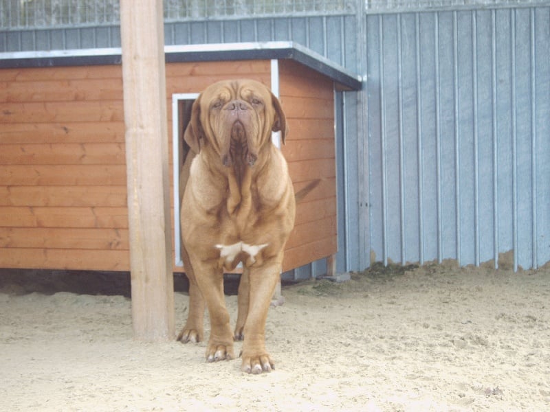 Publication : (Sans Affixe) Auteur : Danny Stiers&Raeymaekers Nancy