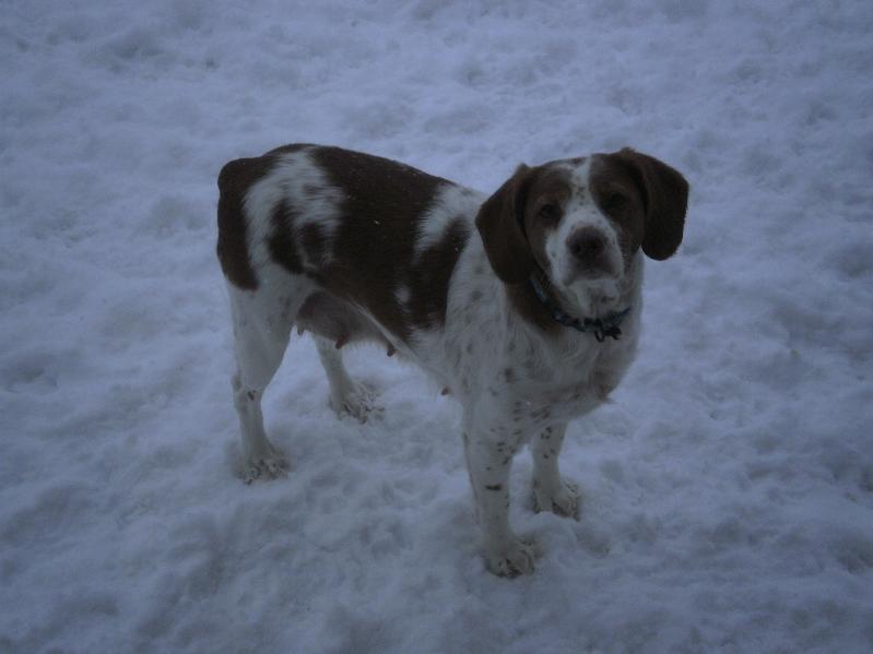 Publication : de Seintienac Auteur : E.CHATEL