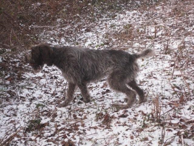 Publication : Du Vergers En Friche