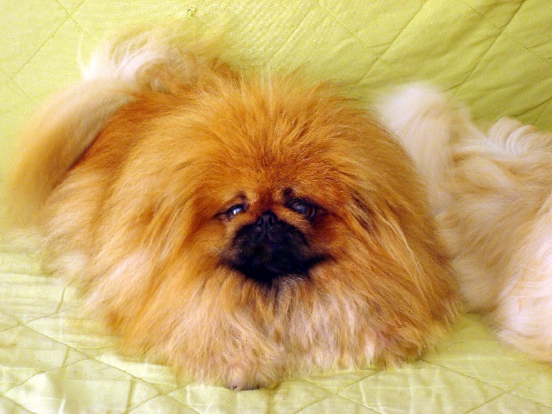 Publication : Smoothies Auteur : clermont jerome