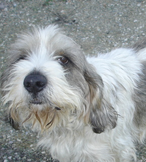 Victor (Sans Affixe)