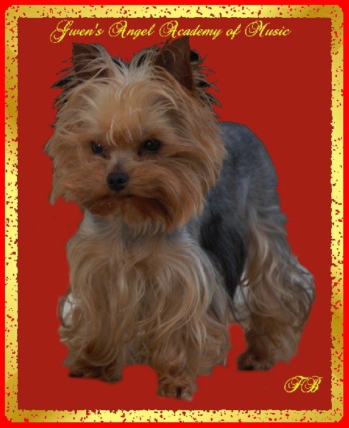 Gwen's Angel Academy of music