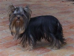 Ego De la source des mayans