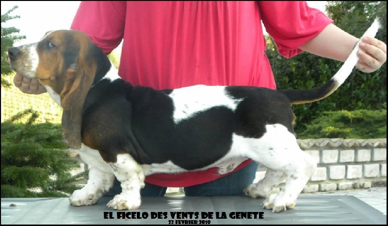 Auteur : Samantha KOWALSKI