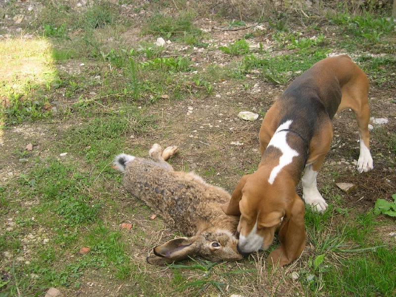 Publication : des combes du Salepeyssou 