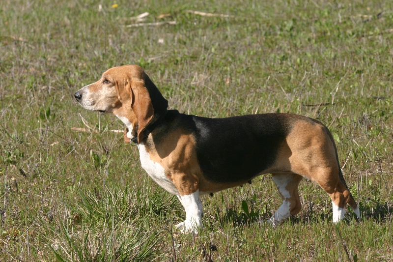 CH. des combes du Salepeyssou Ussy