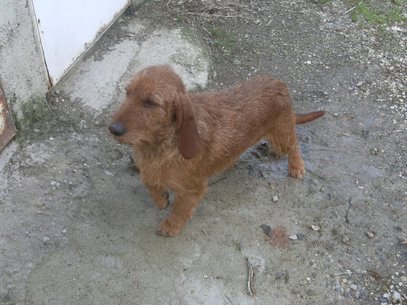 Publication : du rec de la borie 