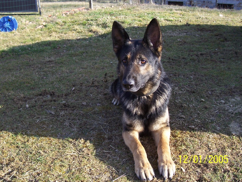 Banzai du Val des Hurles Vent