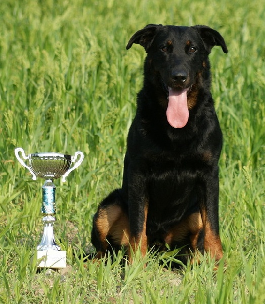 Publication : Garde De La Vie 