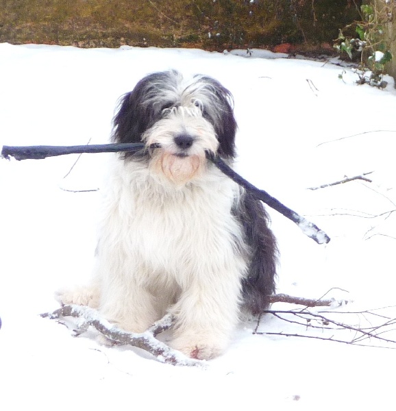 Publication : du Champ du Crickel