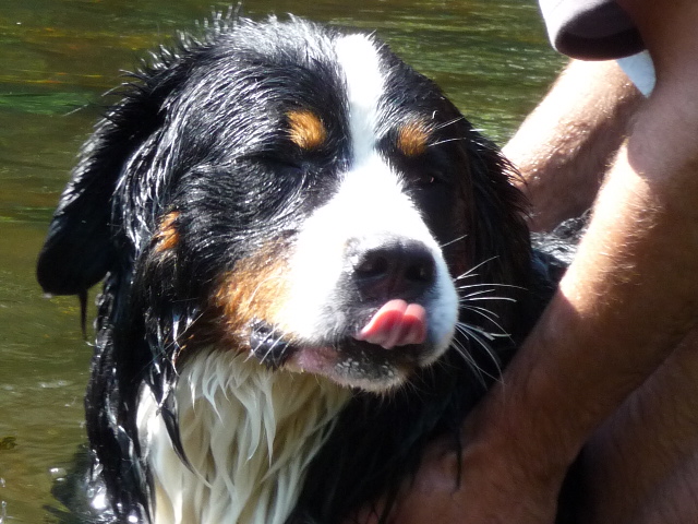 Publication : de la Colline De Sirem Auteur : nathalie