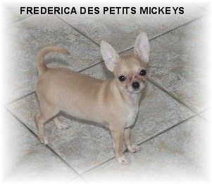 Frederica des Petits Mickeys