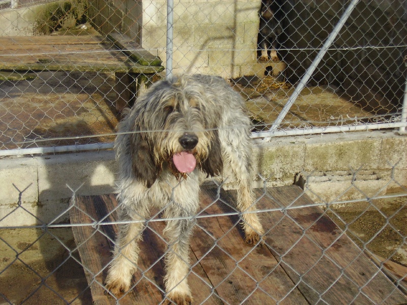 Publication : des étoiles de l'Armagnac 