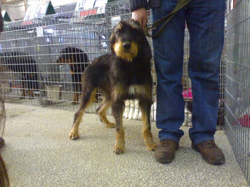 Publication : de la ferme de Meytawa Auteur : Emilie