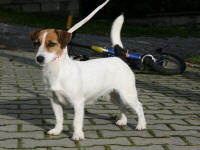 Atia polànecké svahy