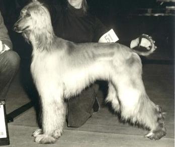 CH. step's Germaine of province