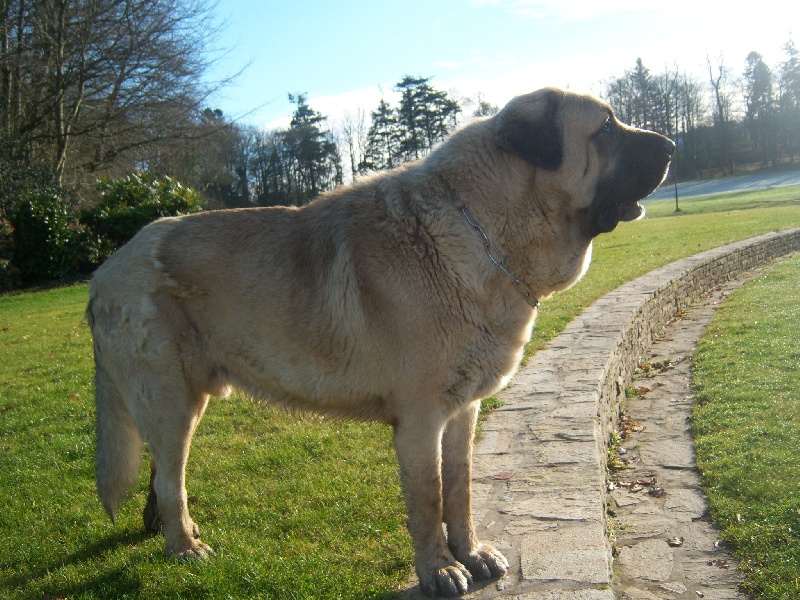 Publication : De Kerbillio 