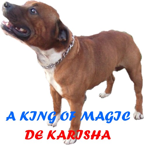 A king of magic De karysha