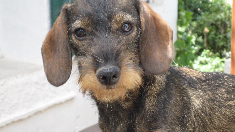 Publication : Du domaine de la madrague 