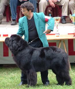 Akash Des hauts de malforêt