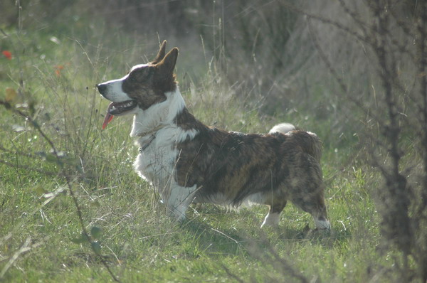 all trade Walk this way