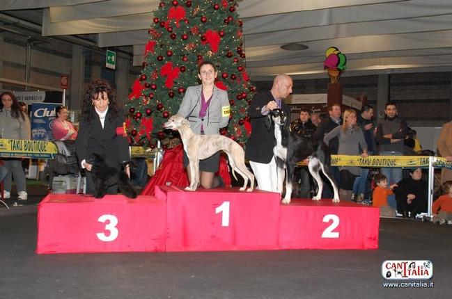 Publication : Hailhare