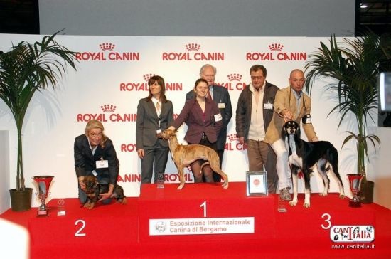 Publication : Hailhare Auteur : CanItalia