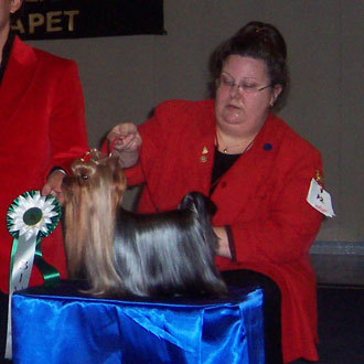 CH. Elillott's She's a favorite