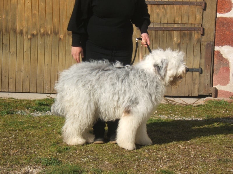 Publication : (Sans Affixe) Auteur : lepage