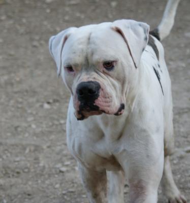 Publication : Les étangs de magrignane 