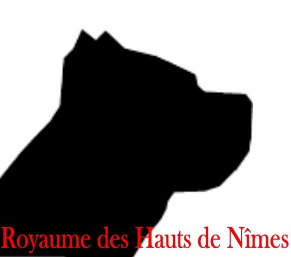 Publication : du royaume des hauts de Nimes 