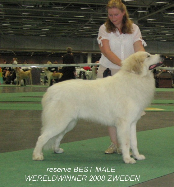 CH. alta colina's DAMENES JENS