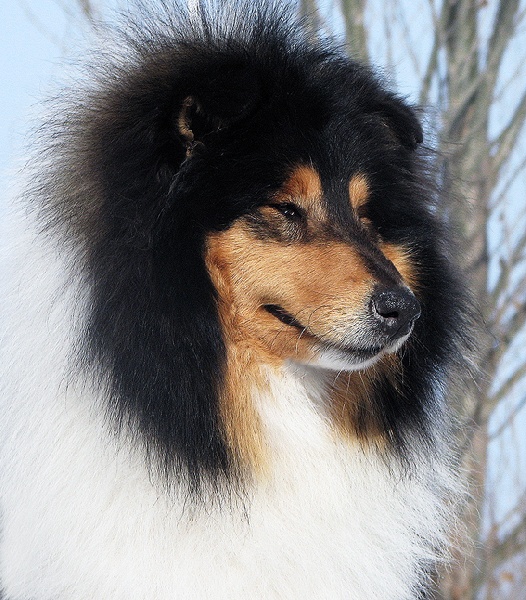 Publication : Irlain Of Byuti 