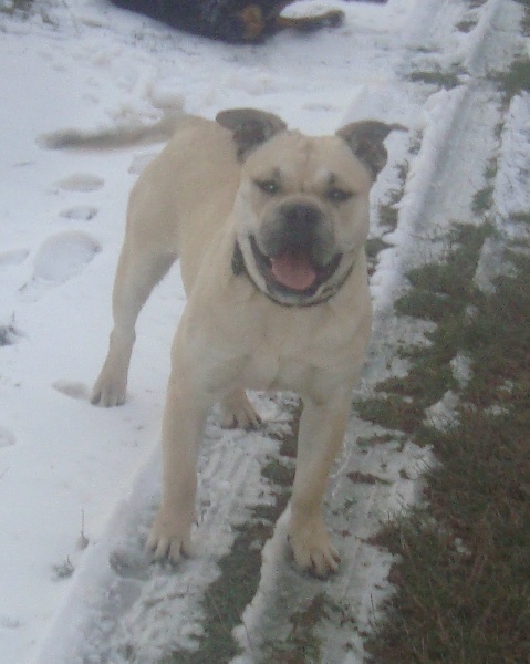 El Guerrero (Sans Affixe)