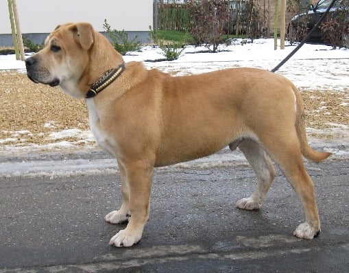 Publication : von zillion 