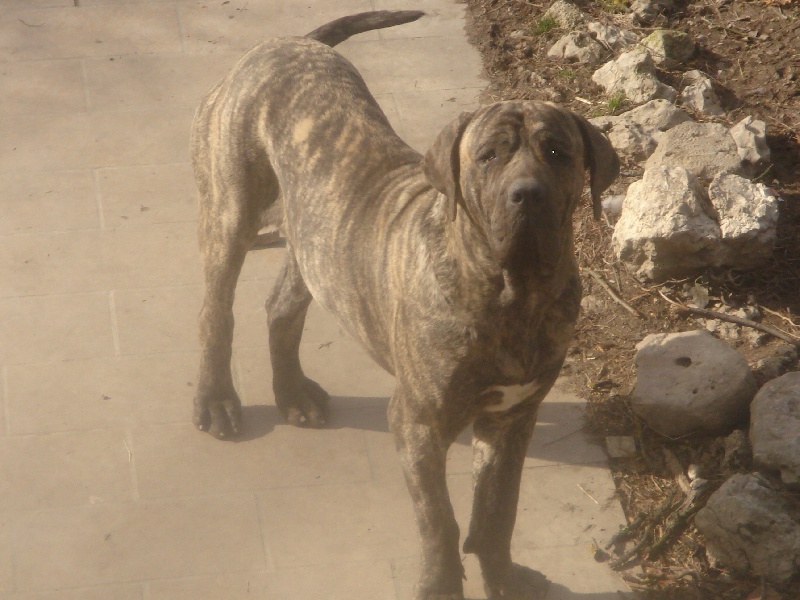 Publication : (Sans Affixe) 