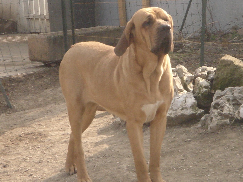 Publication : (Sans Affixe)