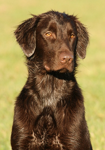 Publication : Of Perfect Promise Auteur : Of Perfect Promise