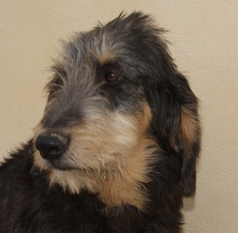 Publication : du roc d'Eden