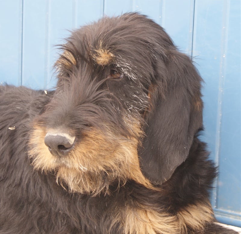 Publication : du roc d'Eden 